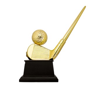 Cúp Golf Kỹ Thuật 91V230